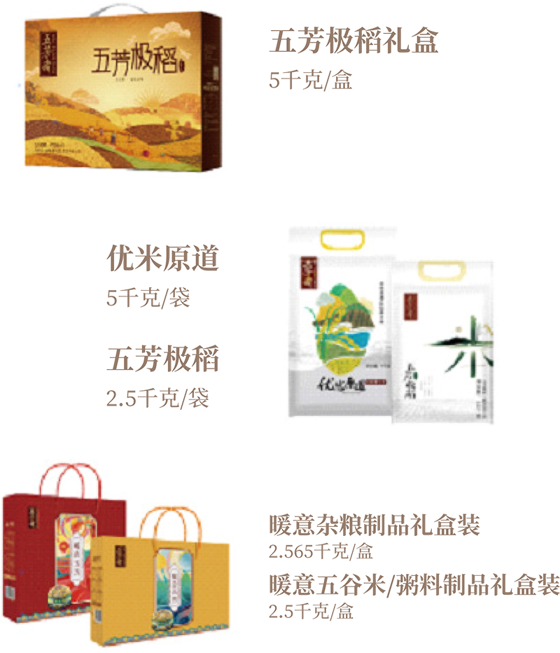 图层-31